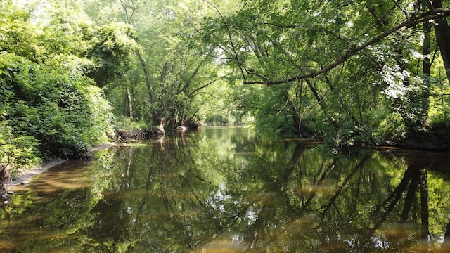 view of landscape featuring a water view and a forest view