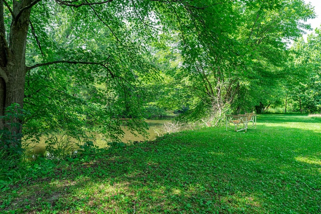 view of yard with a view of trees