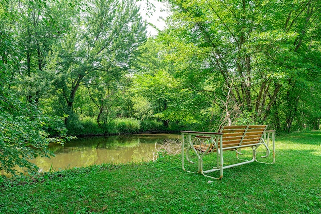 view of yard featuring a water view and a view of trees