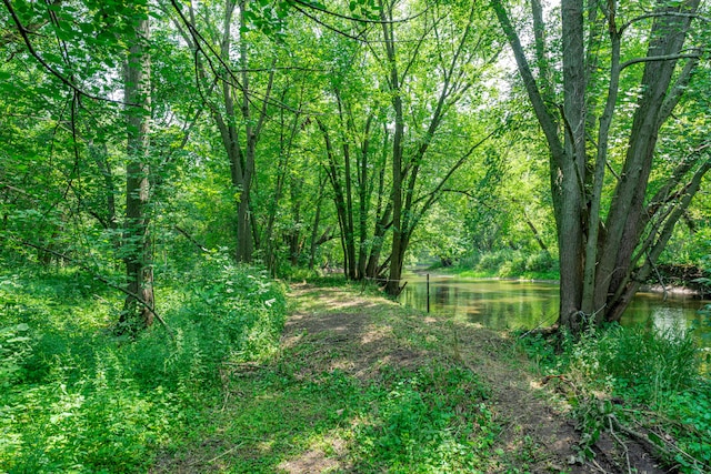 view of nature with a water view and a forest view