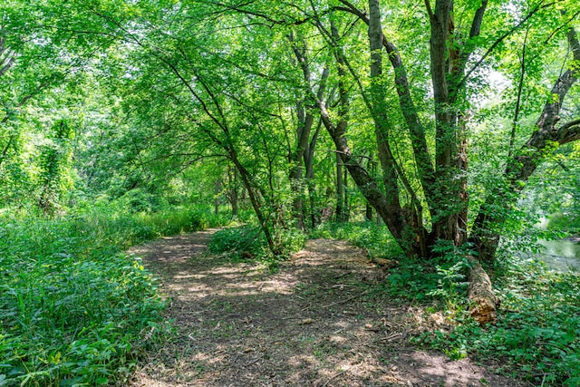 view of landscape featuring a view of trees