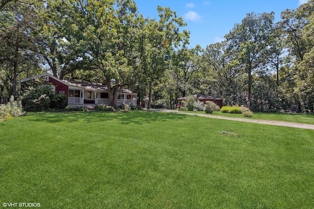 view of yard with covered porch