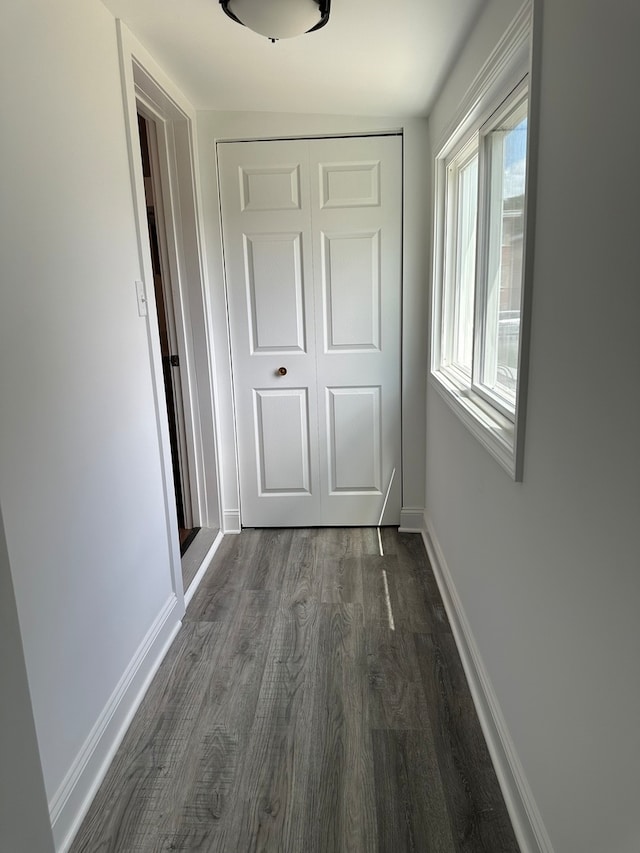 corridor with dark wood-type flooring