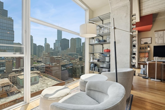 living room with a wall of windows and light hardwood / wood-style flooring