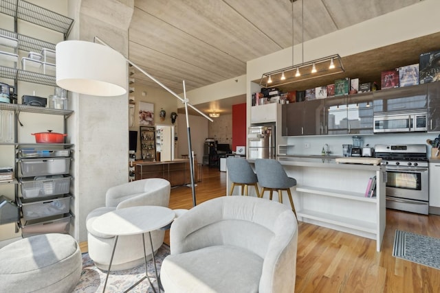 kitchen with appliances with stainless steel finishes and light hardwood / wood-style floors