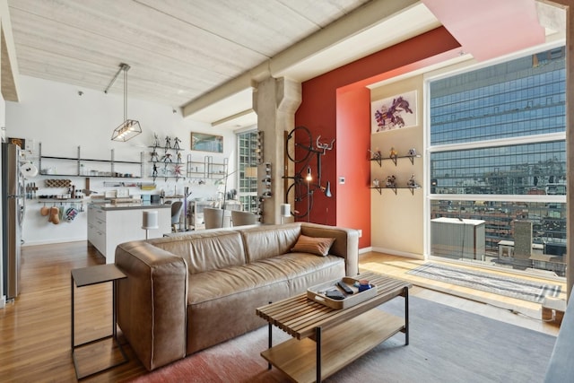 living room featuring hardwood / wood-style floors