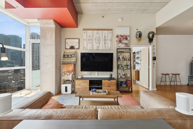 living room with hardwood / wood-style flooring