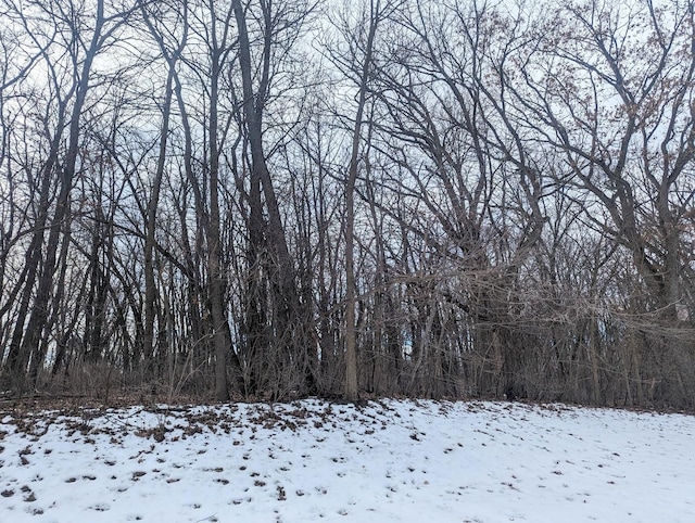 1711 Cedar Ln, Spring Grove, IL 60081 - photo 1