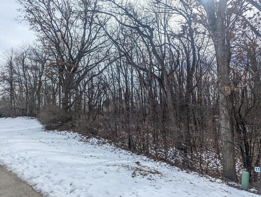 1711 Cedar Ln, Spring Grove, IL 60081 - photo 2