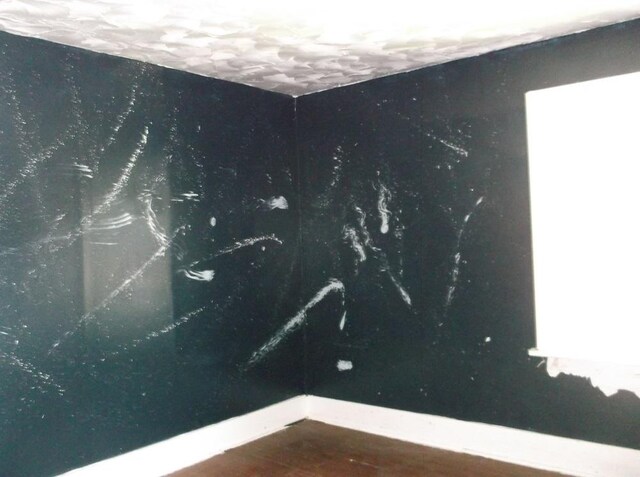 spare room featuring crown molding, ceiling fan, and light hardwood / wood-style flooring