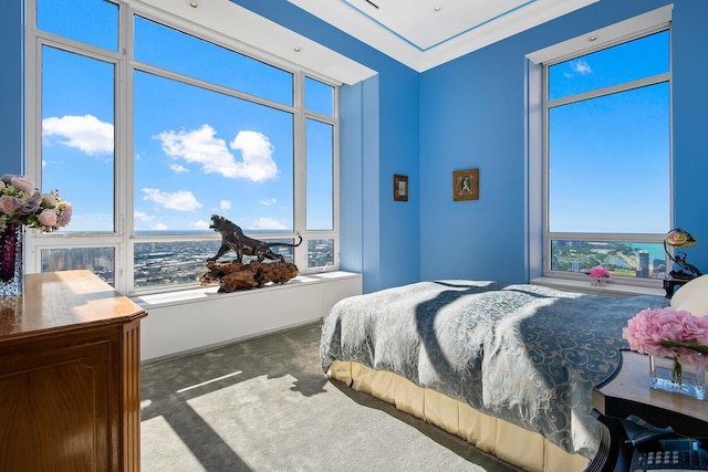 bedroom with dark colored carpet