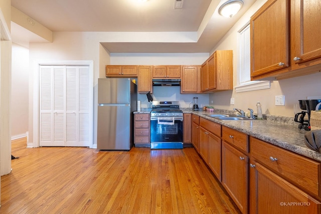 kitchen with sink, light hardwood / wood-style flooring, and stainless steel appliances