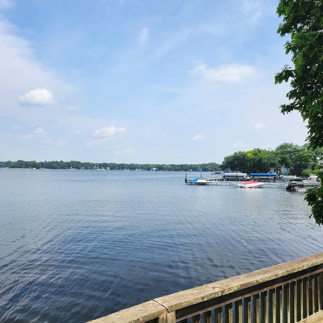 water view with a dock