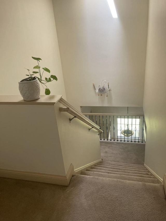 stairway featuring carpet flooring