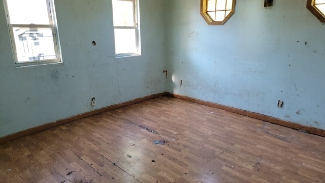 spare room featuring wood-type flooring