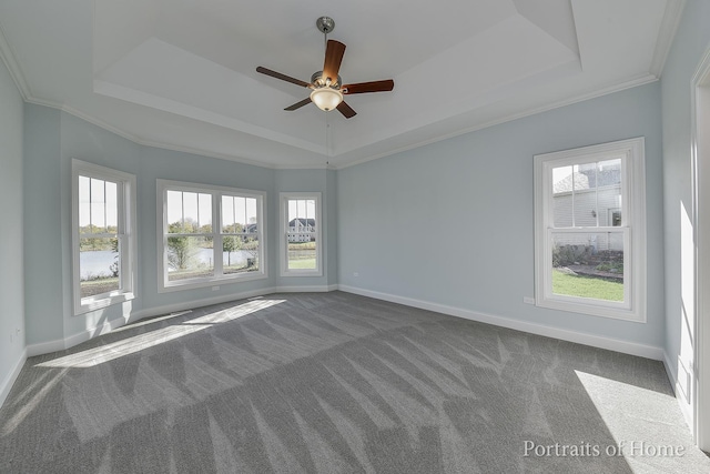 spare room featuring carpet, a tray ceiling, and ornamental molding