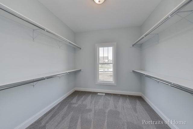 spacious closet featuring carpet floors