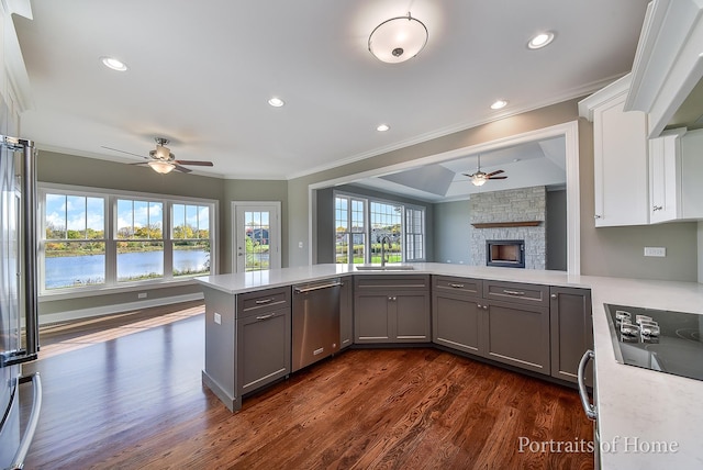 kitchen featuring a water view, stainless steel dishwasher, gray cabinets, a fireplace, and kitchen peninsula