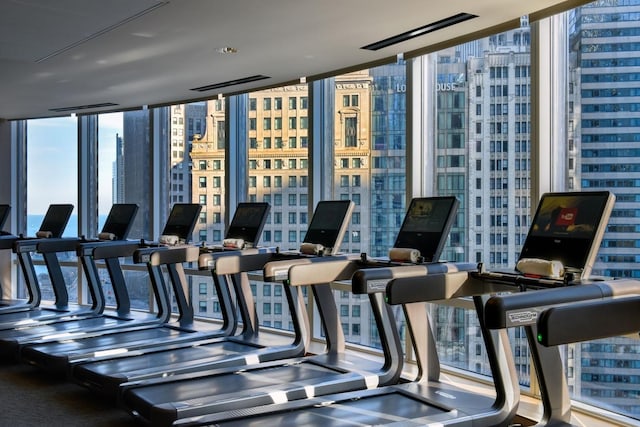 workout area with expansive windows