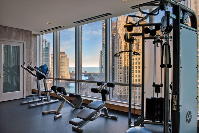 workout area featuring a water view, a wall of windows, and a healthy amount of sunlight