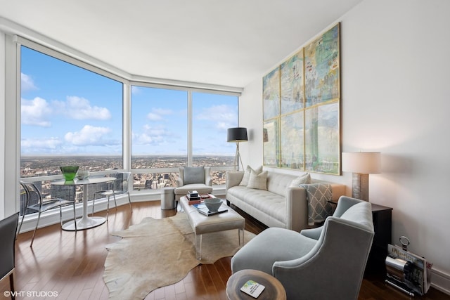 living room featuring hardwood / wood-style floors, expansive windows, and a healthy amount of sunlight