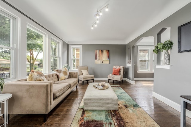 interior space with crown molding, a wealth of natural light, and dark wood-type flooring