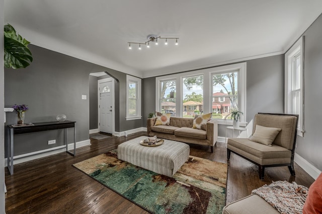 living room with dark hardwood / wood-style flooring and ornamental molding