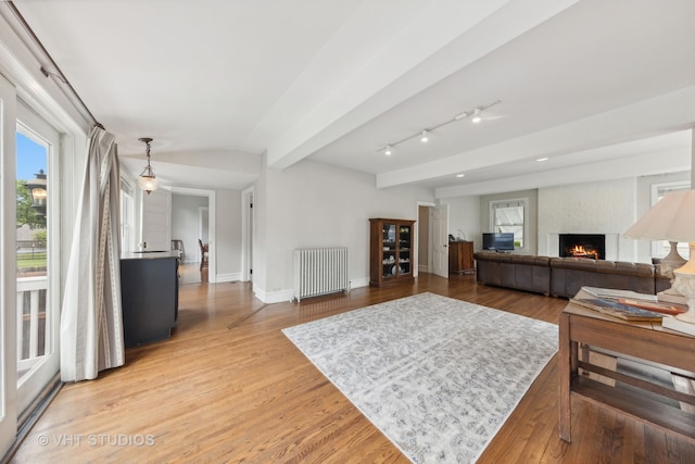 living room featuring radiator, a large fireplace, and hardwood / wood-style floors