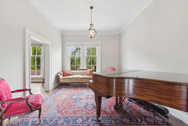 game room featuring crown molding, a baseboard radiator, and light hardwood / wood-style floors