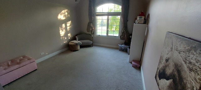 sitting room featuring carpet