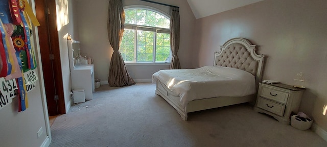 bedroom featuring carpet, lofted ceiling, and multiple windows