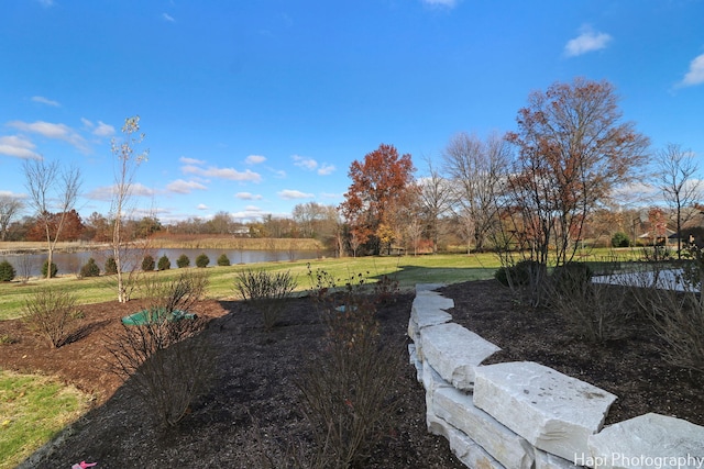 view of yard featuring a water view