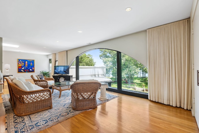 living room with light hardwood / wood-style floors