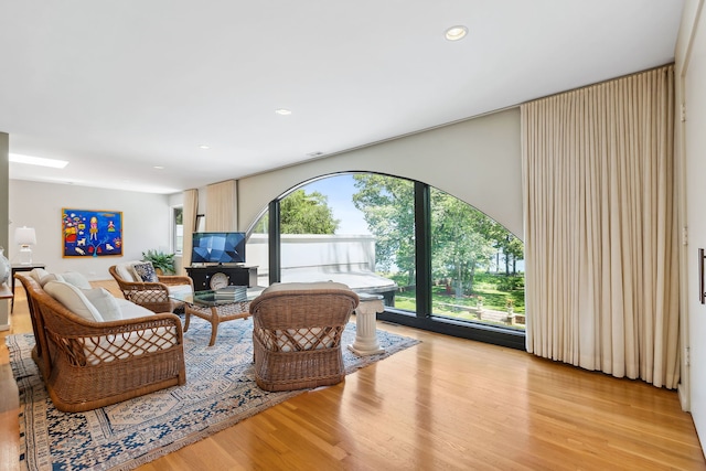 living room featuring light hardwood / wood-style flooring