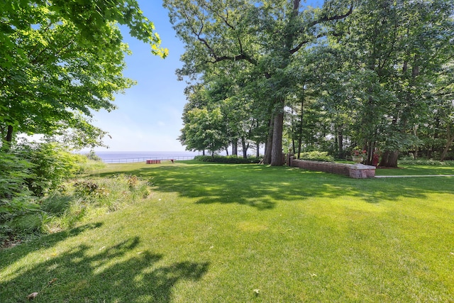 view of yard with a water view