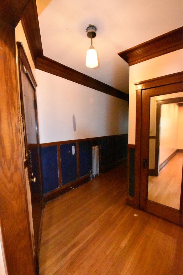 bonus room featuring radiator heating unit and dark wood-type flooring