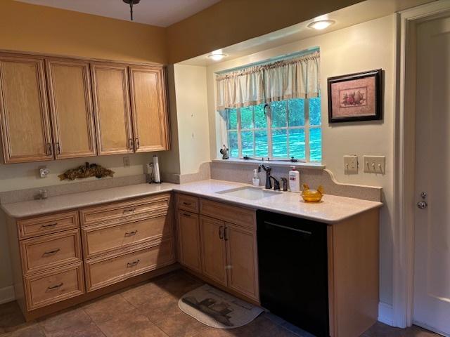 kitchen featuring dishwasher and sink