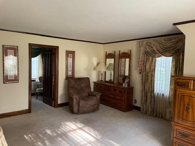 living area featuring crown molding and light colored carpet