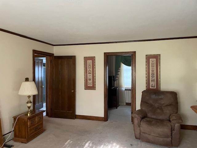 sitting room with light colored carpet and ornamental molding