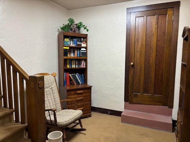 sitting room featuring light carpet