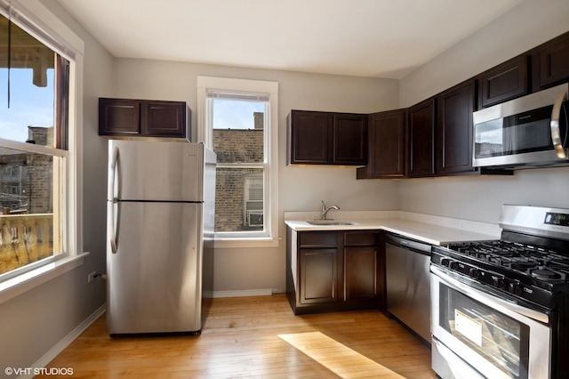 kitchen featuring light wood-type flooring, stainless steel appliances, dark brown cabinets, and a healthy amount of sunlight