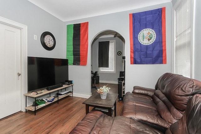 living room with hardwood / wood-style flooring