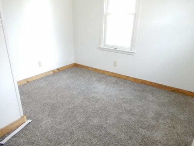 spare room featuring carpet