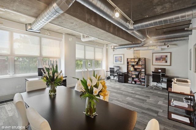 dining area featuring carpet, a healthy amount of sunlight, and track lighting