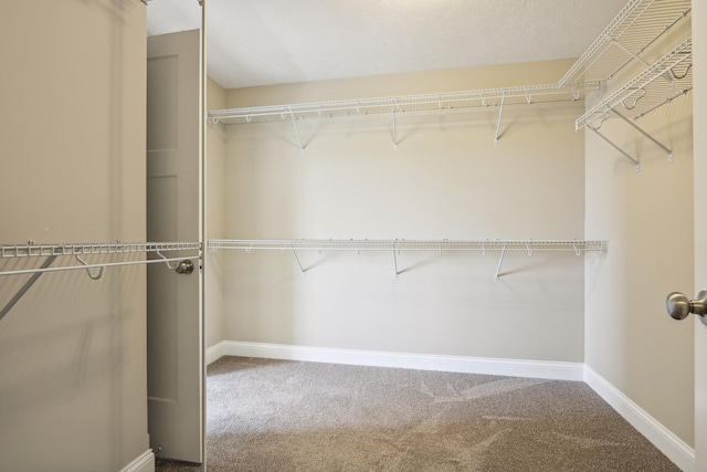 walk in closet with carpet