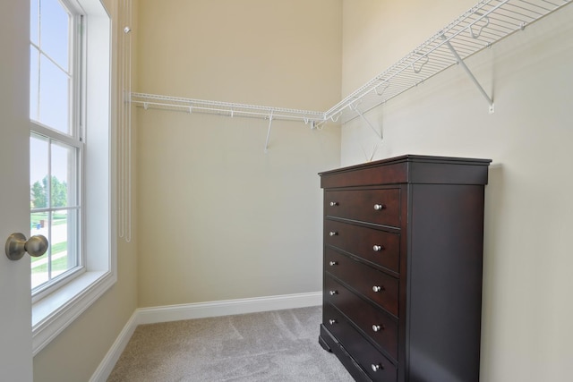 spacious closet with light colored carpet