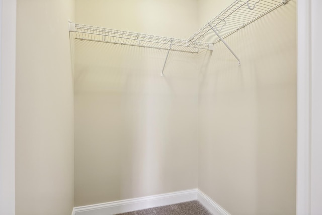 spacious closet with carpet