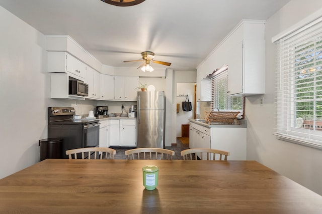 dining space with ceiling fan and plenty of natural light