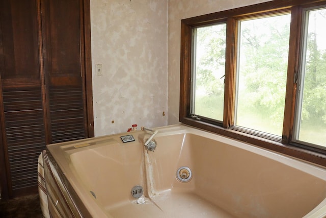 bathroom with a bathtub