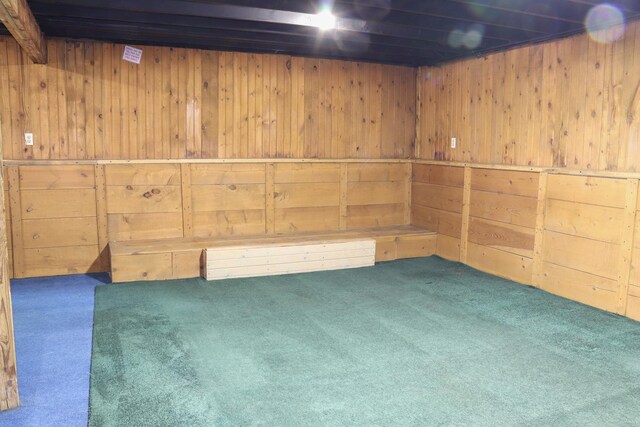 basement with wooden walls and dark colored carpet